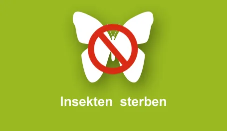Insekten sterben
